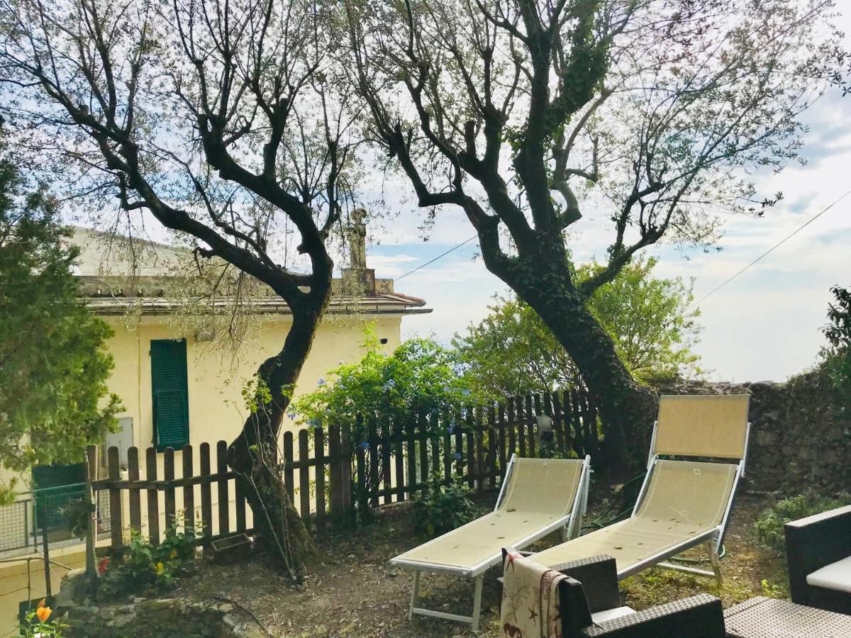 Agriturismo Le Pale โบลยาสโค ภายนอก รูปภาพ